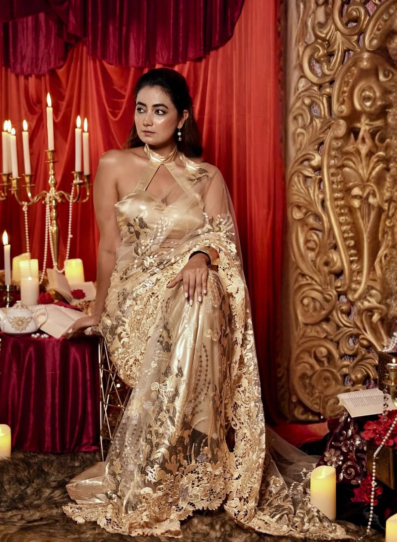 Golden Hour Silk-Net Saree - Image 10