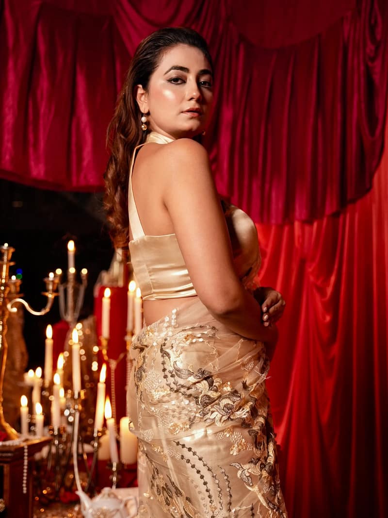 Golden Hour Silk-Net Saree - Image 3