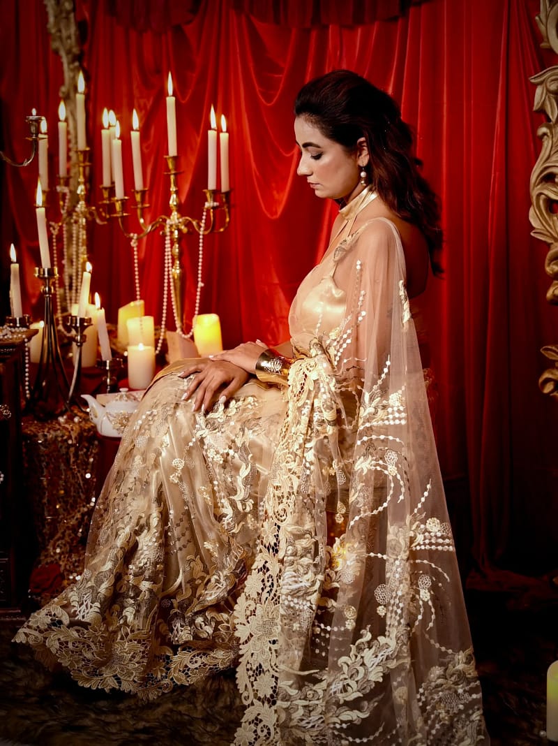 Golden Hour Silk-Net Saree - Image 2